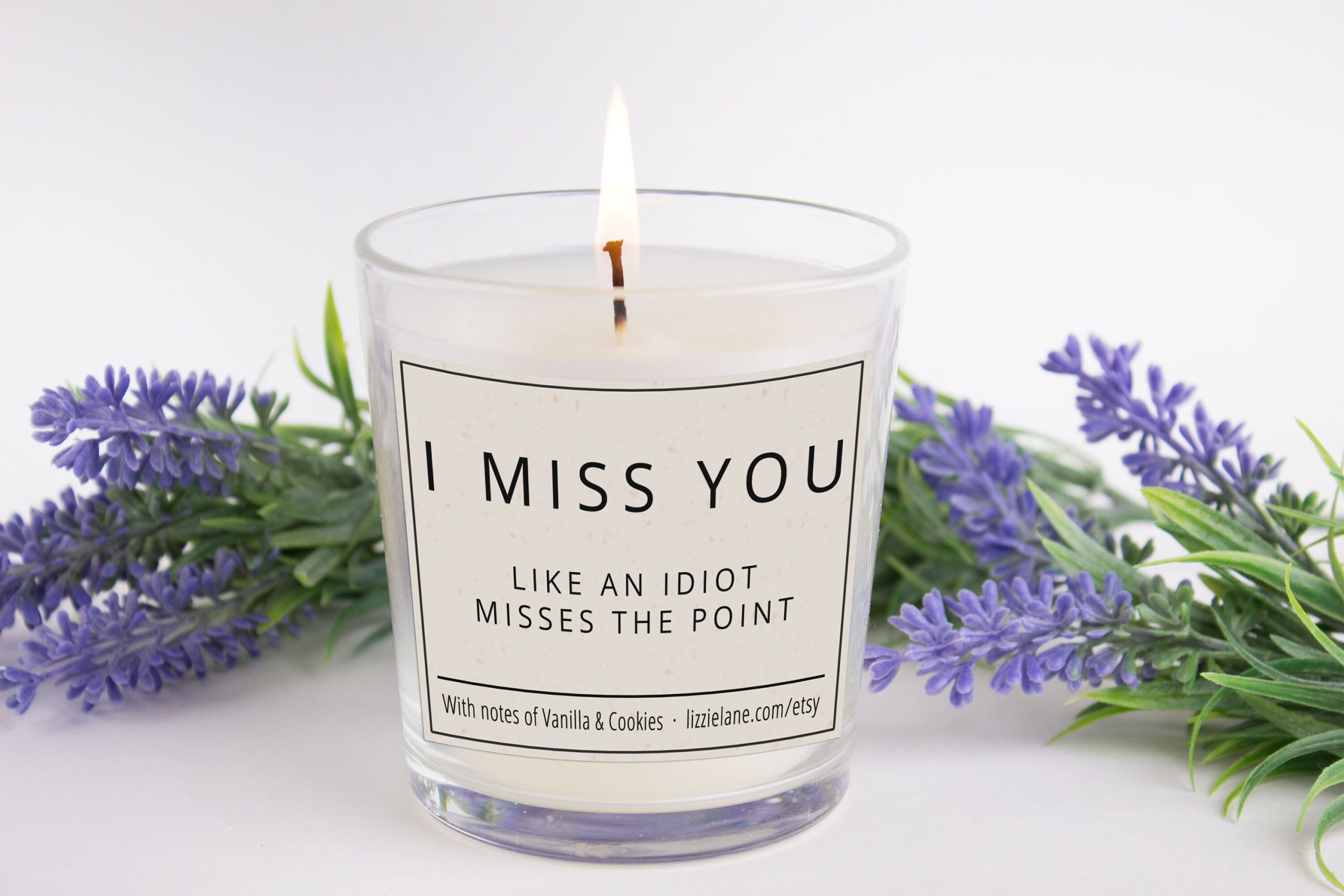 Scented candle, funny candle, friendship gift, fun gift for men, funny joke  gift for her, I Miss You Like An Idiot Misses The Point Candle 