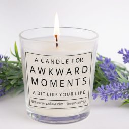 Funny Rude Candle Friendship Gift, Awkward Moments Candle Gift, Rude Candle, Joke Gift for Her, Christmas/Birthday Funny Gift For Friend