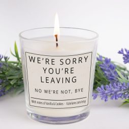 Work Leaving Candle Gift, Colleague Leaving Work Gift, We're Sorry You're Leaving Candle, Leaving Present, Joke Candle, Funny Rude Candle