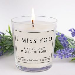 Funny Rude Joke Candle Gift, Friendship Gift, Fun Gift for Her, Funny Joke Gift for Girlfriend, I Miss You Like An Idiot Misses The Point