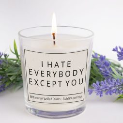 I Hate Everybody Except You Candle, Funny Scented Candle, Secret Santa Gift, Gift for Wife, Gift for Her, Gift For Girlfriend, Friend Gift
