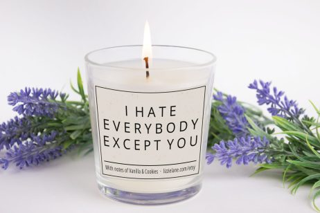 I Hate Everybody Except You Candle, Funny Scented Candle, Secret Santa Gift, Gift for Wife, Gift for Her, Gift For Girlfriend, Friend Gift