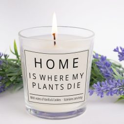 Home Is Where My Plants Die Funny Candle Gift, Best Friend Gift, Birthday Candle Gift for Her, Funny Birthday Candle for Wife, Sister, Mum